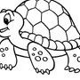 Морская черепаха картинки детей