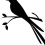Картинки Птиц Для Вырезания