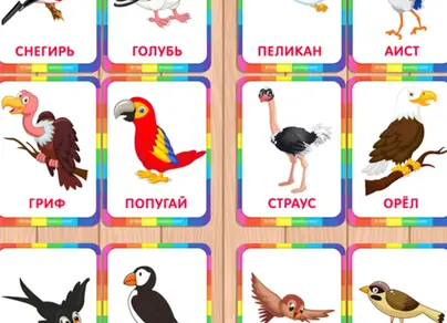 Птицы картинки для детей