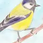 Птица картинка для детей рисунок