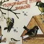 Кормим Птиц Зимой Картинки