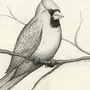 Птица простой рисунок