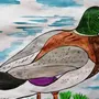 Птицы Башкортостана Рисунок