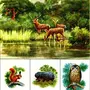 Картинки Животных И Птиц Для Детей