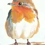 Рисунок птица малиновка