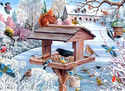 Картинка птицы на кормушке зимой для детей