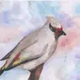 Рисунок Птица Свиристель
