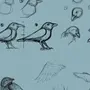 Рисовка птица