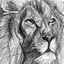 Легкий Рисунок Льва
