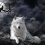 Лесной Волк