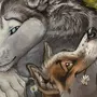 Волк В Лесу Картинки Для Детей