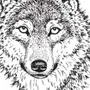 Волк векторное изображение