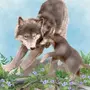 Волк с волчицей и волчатами