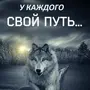 Одинокий волк картинки