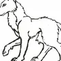 Изображение волка для детей
