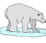 Картинка Белый Медведь Для Детей