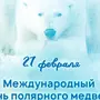 День Белого Медведя Картинки