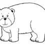 Картинка Белого Медведя Для Детей Раскраски