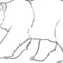 Бурый медведь рисунок карандашом