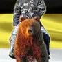Путин на медведе в хорошем качестве