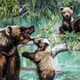 Купание медвежат бианки картинки
