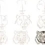 Тигр Рисунок Карандашом Для Детей