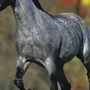 Сивая Лошадь