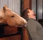 Конь зазу