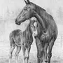 Лошадь В Поле Рисунок