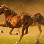 Бегущая Лошадь