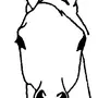 Морда лошади рисунок