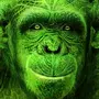 Зеленая обезьяна