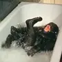 Обезьяны в ванной
