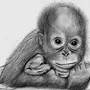 Рисунок Орангутанг