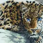 Рисунок Леопард