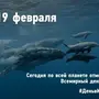 День кита 19 февраля картинки