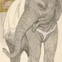 Рисунок К Произведению Слон