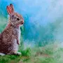 Китайский кролик картинка