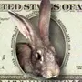 Кролик С Деньгами Картинки